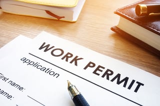 Application Form For A Work Permit