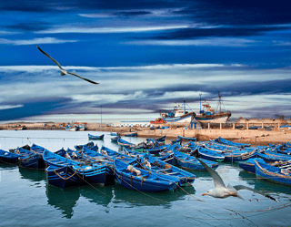 Blue Fishing Boats On An Ocean Coast In Essaouira