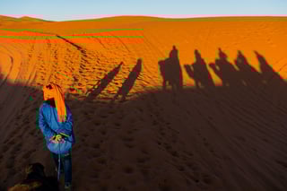 Camel Shadows on Moroccan Desert Dunes