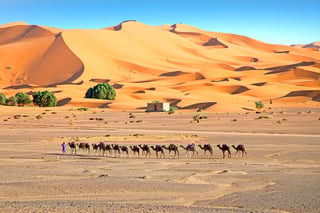 Caravan journey in the Moroccan desert