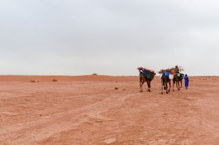 Morocco Evisa For Lebanese Citizens