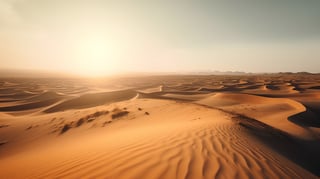 Sahara Desert