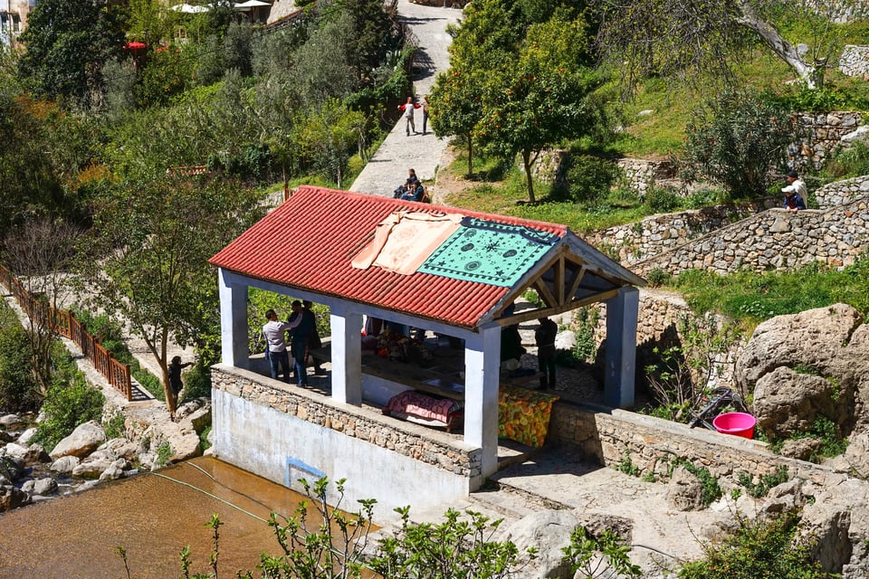 March through May: A Season of Beauty and Bloom