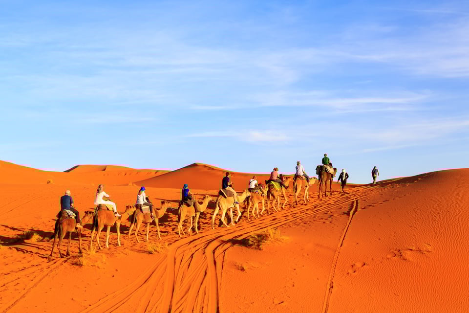 June through August: Savour the Heat