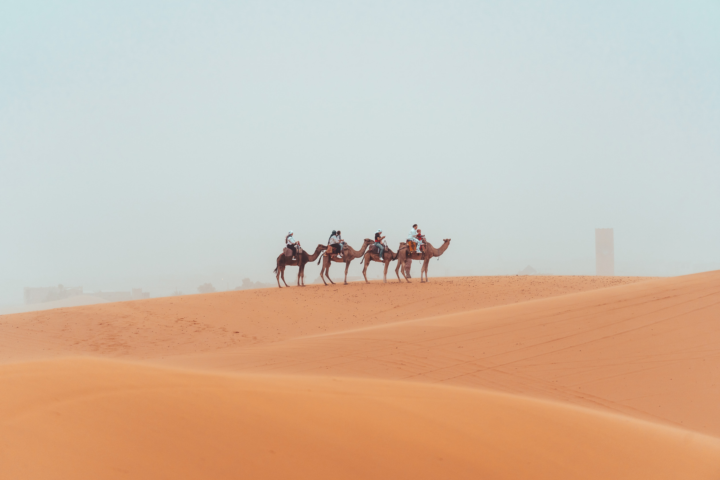 Camel trek with tourists through the sahara desert in Morocco